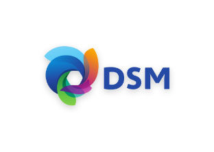 DSM India